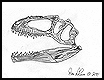 Giganotosaurus Skull Drawing