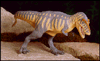 tyrannosaurus