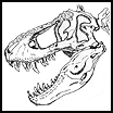 Tyranosaurus Skull Drawing